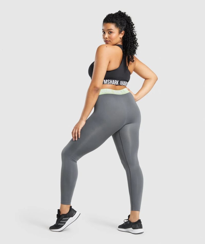 Gymshark Fit Seamless Leggings Damen Grau | AT-41-UBJY