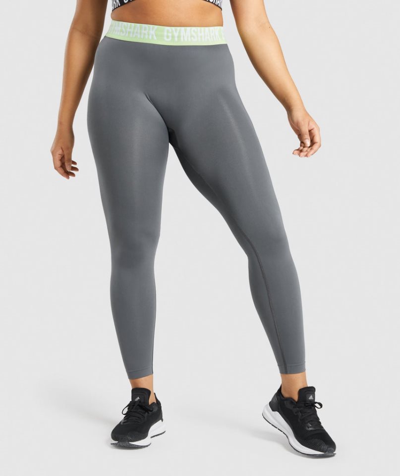 Gymshark Fit Seamless Leggings Damen Grau | AT-41-UBJY