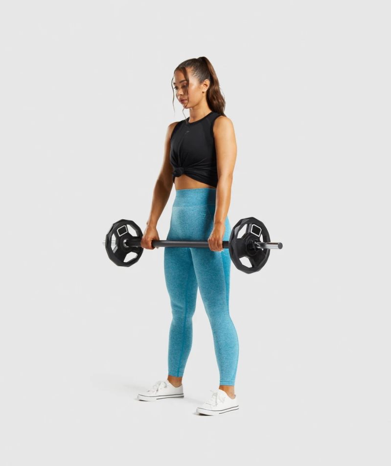 Gymshark Flex High Waisted Leggings Damen Blau | AT-86-UIBR