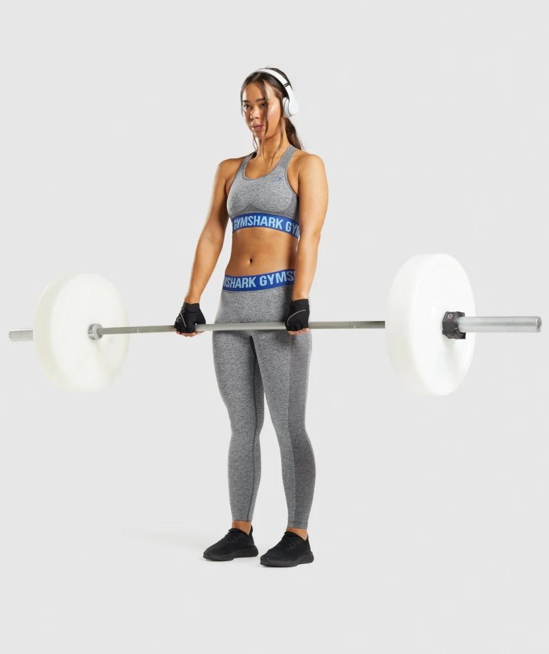 Gymshark Flex Sport Bh Damen Grau | AT-41-RBSA