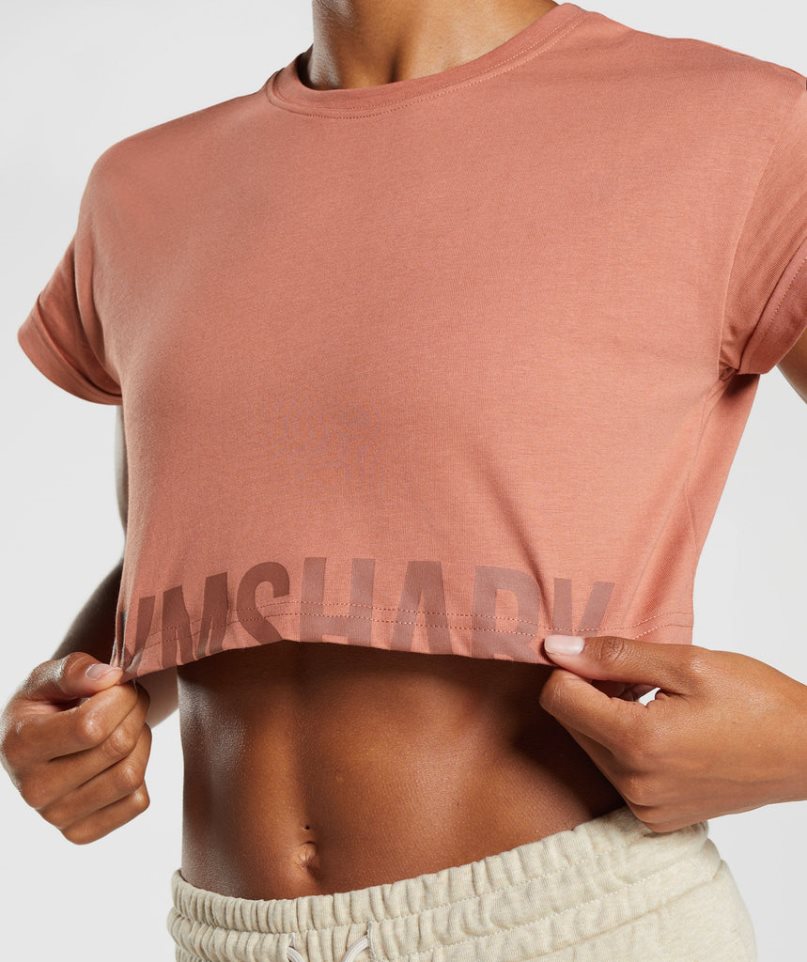 Gymshark Fraction Kurz Geschnittene Oberteile Damen Braun | AT-53-LEFZ