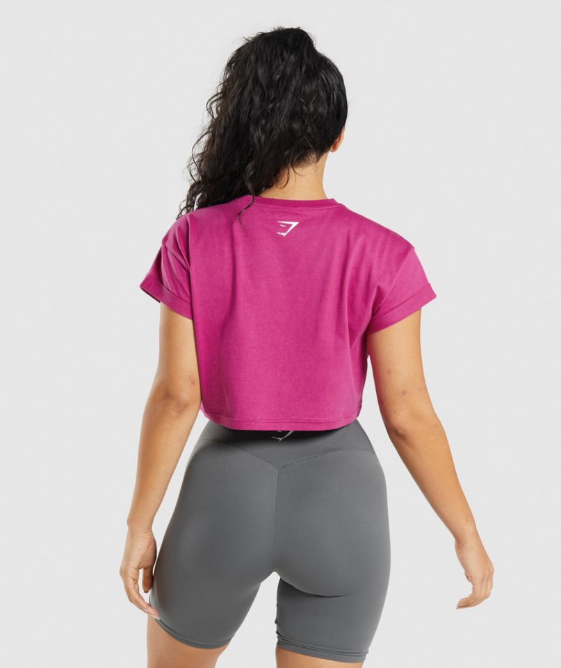 Gymshark Fraction Kurz Geschnittene Oberteile Damen Fuchsie | AT-78-HITG