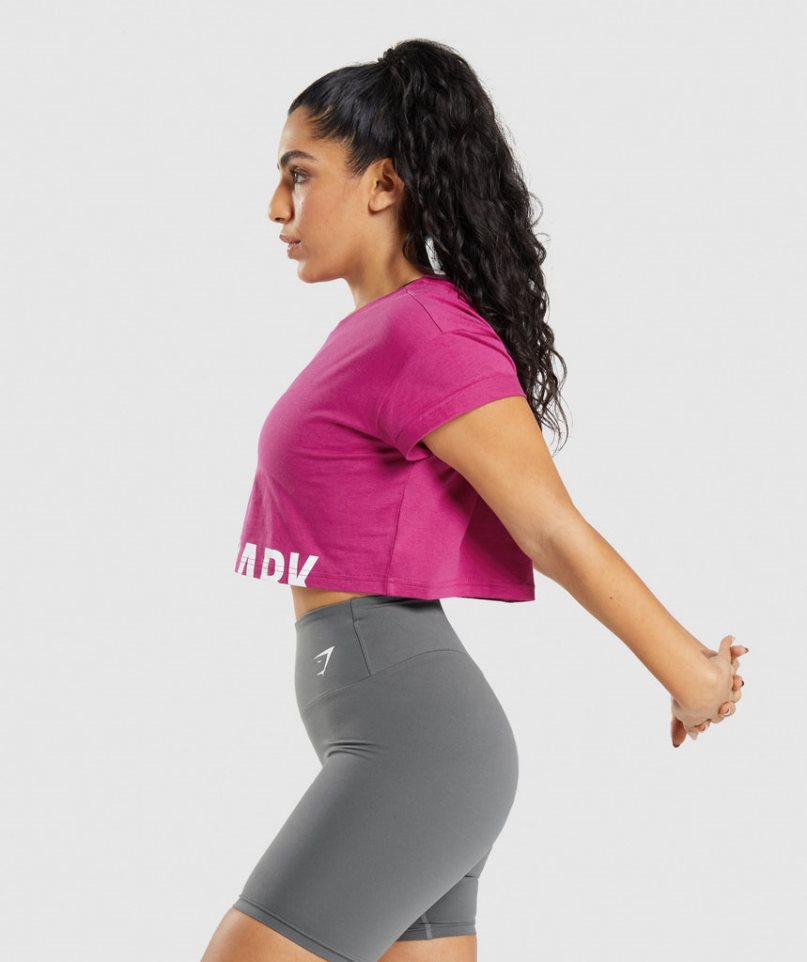 Gymshark Fraction Kurz Geschnittene Oberteile Damen Fuchsie | AT-78-HITG