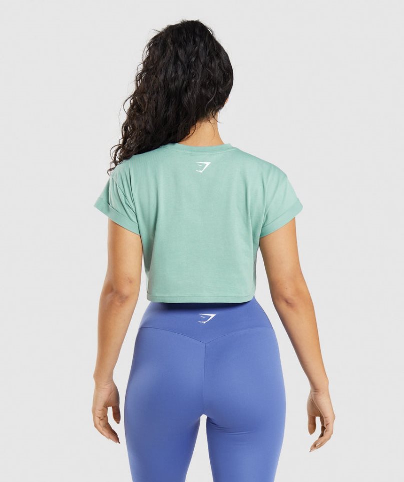 Gymshark Fraction Kurz Geschnittene Oberteile Damen Hellgrün | AT-78-MDNX