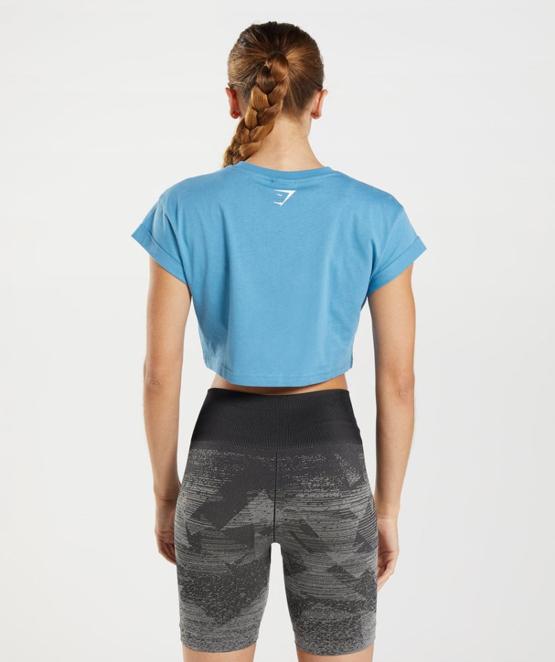 Gymshark Fraction Kurz Geschnittene Oberteile Damen Blau | AT-82-KAQR