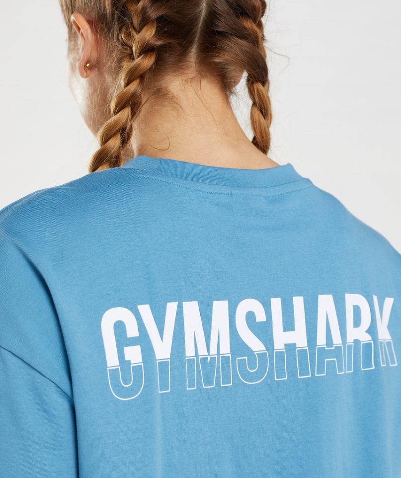 Gymshark Fraction Oversized T-shirts Damen Blau | AT-48-PYIM