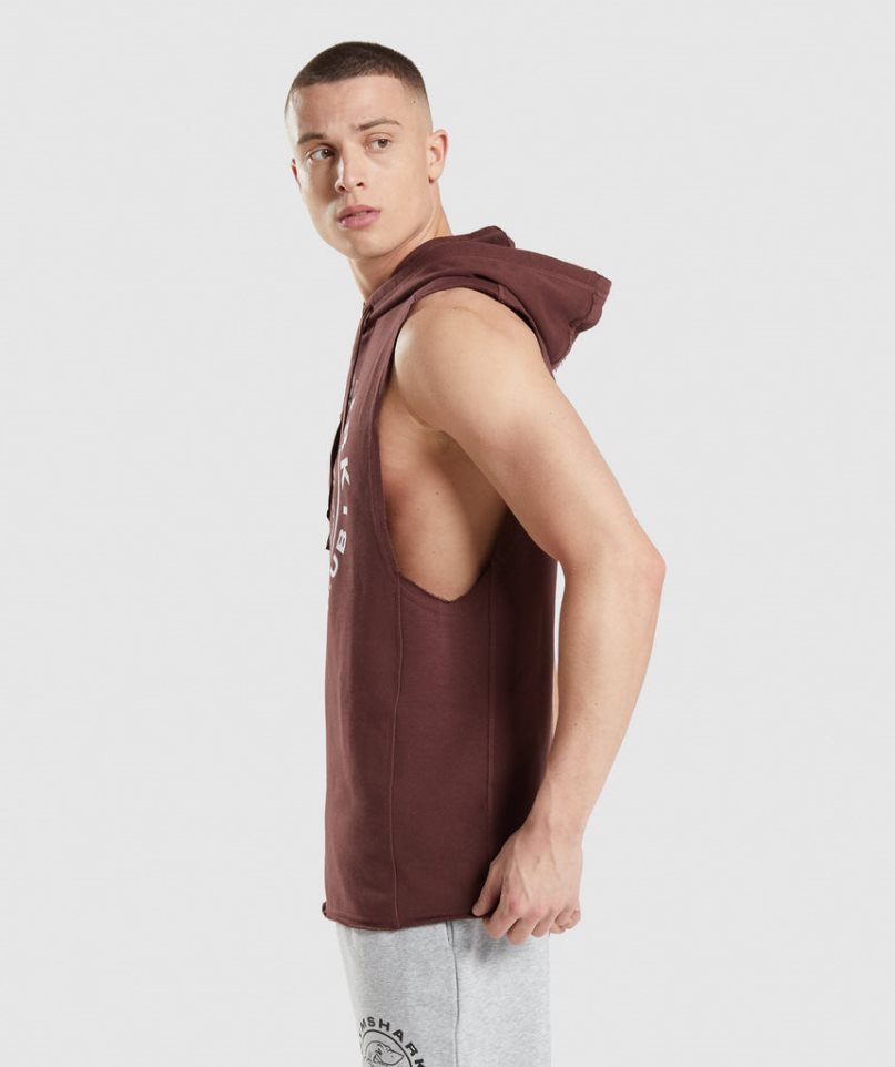 Gymshark Legacy Drop Arm Hoodie Herren Braun | AT-90-LZQA