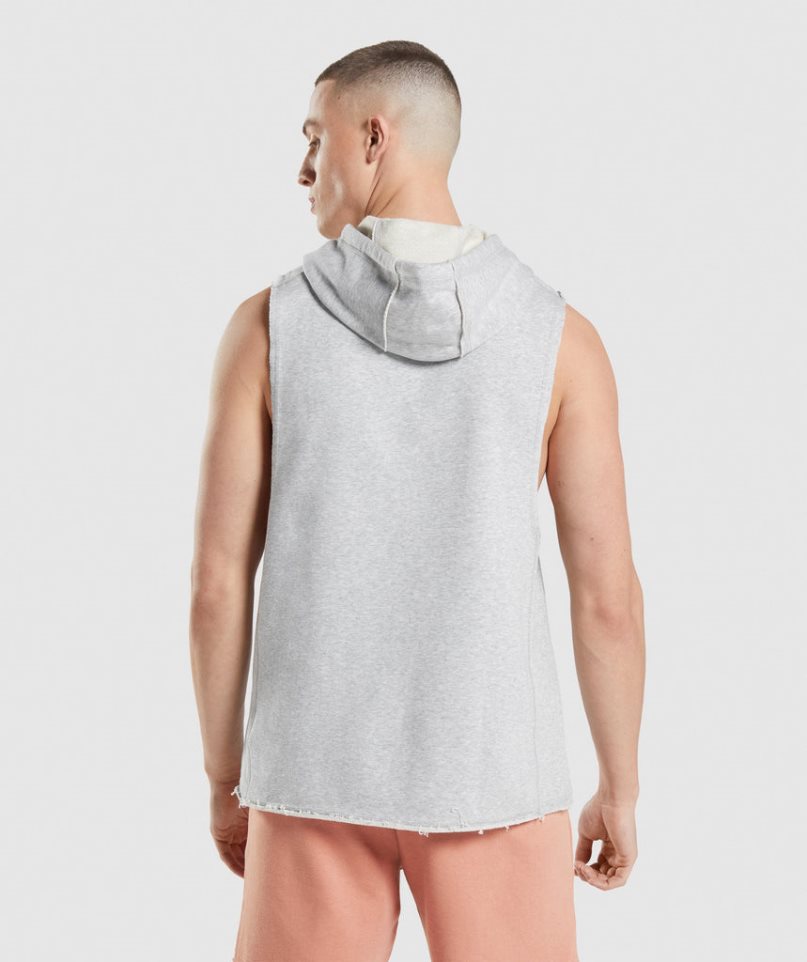 Gymshark Legacy Drop Arm Hoodie Herren Hellgrau | AT-80-FWMP