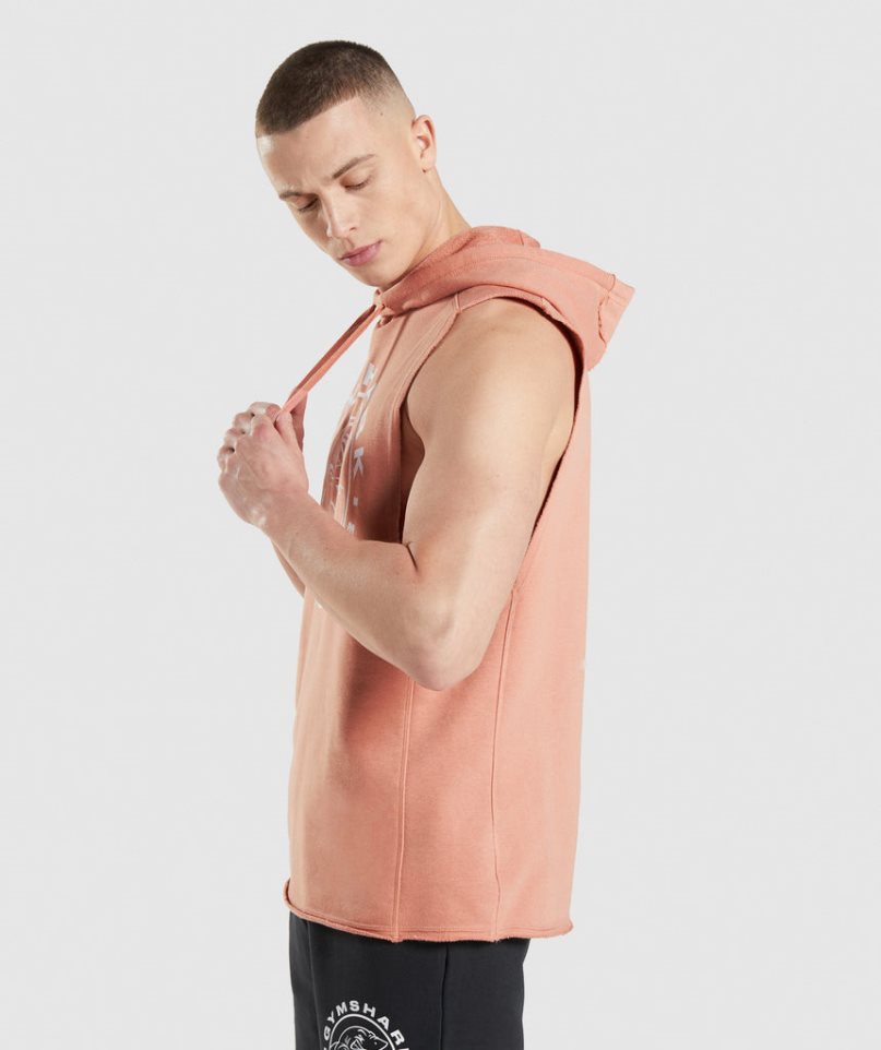 Gymshark Legacy Drop Arm Hoodie Herren Rosa | AT-18-IJSH