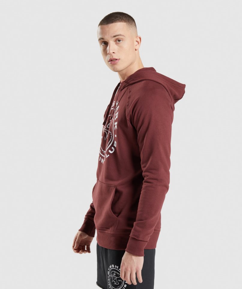 Gymshark Legacy Hoodie Herren Braun | AT-51-LFXU