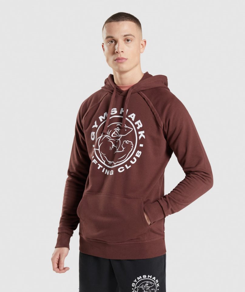 Gymshark Legacy Hoodie Herren Braun | AT-51-LFXU