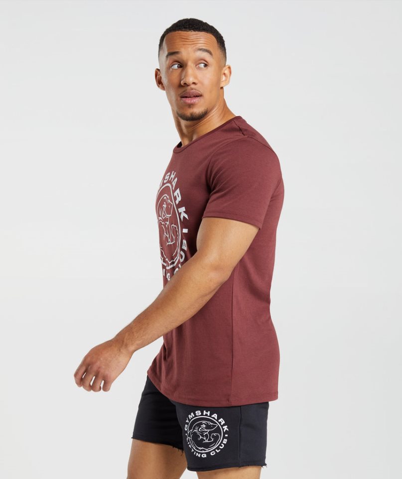 Gymshark Legacy T-shirts Herren Bordeaux | AT-48-QTPF