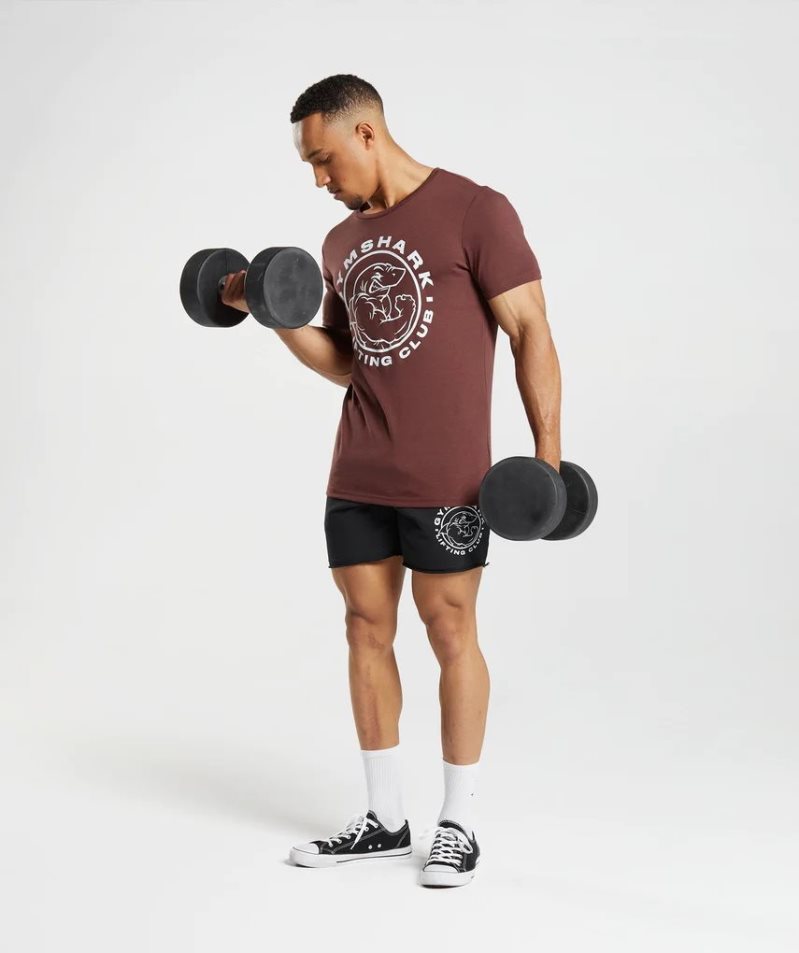 Gymshark Legacy T-shirts Herren Bordeaux | AT-48-QTPF