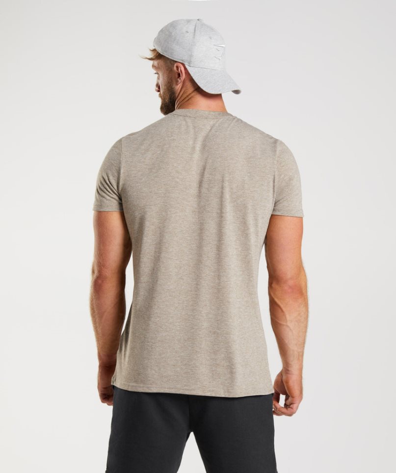 Gymshark Legacy T-shirts Herren Grau | AT-13-ZJWA