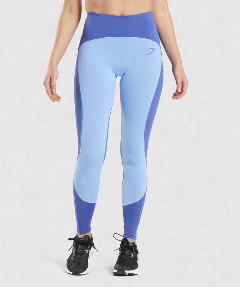 Gymshark Pulse Mesh Leggings Damen Blau | AT-86-VEDL