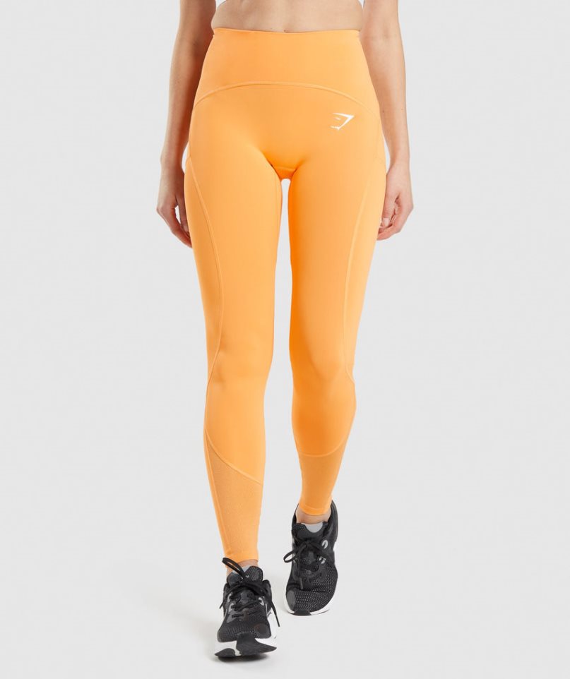 Gymshark Pulse Mesh Leggings Damen Orange | AT-52-PXMC