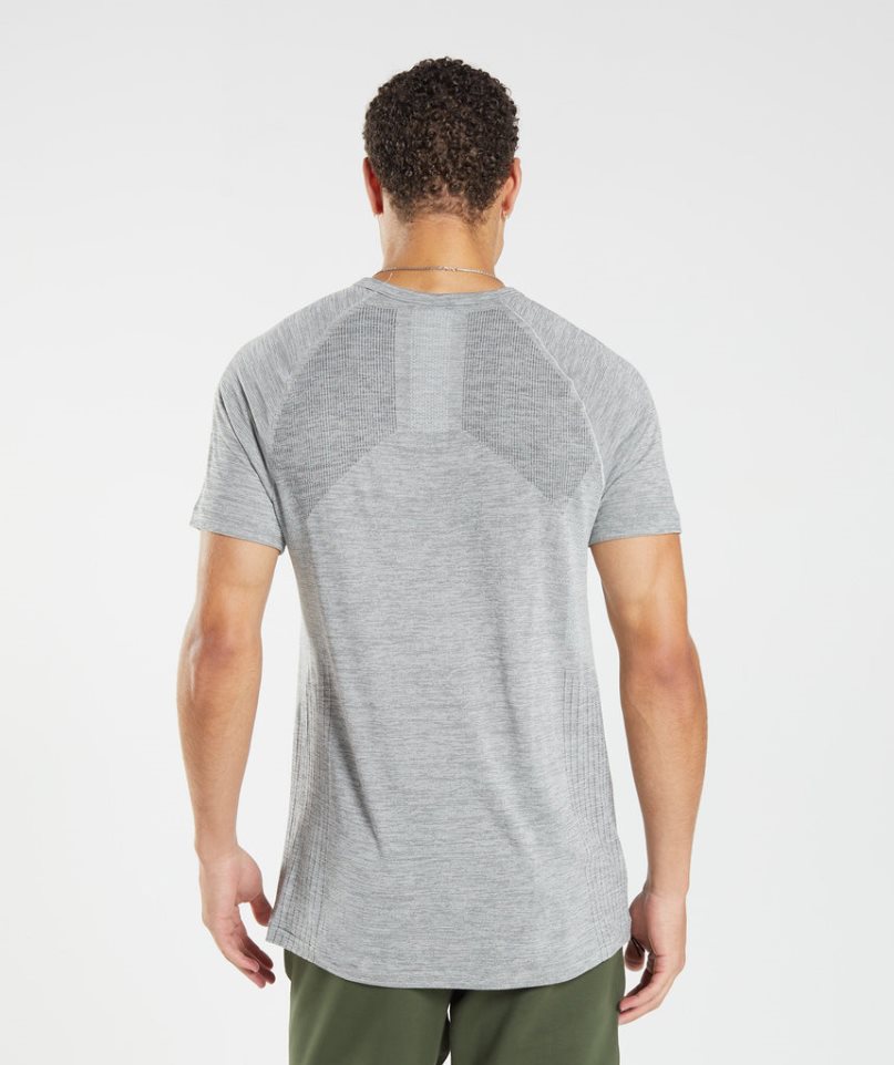 Gymshark Retake Seamless T-shirts Herren Hellgrau | AT-39-EWFR