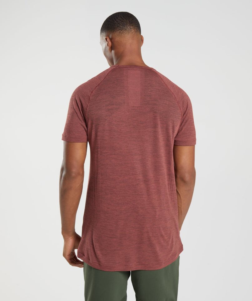 Gymshark Retake Seamless T-shirts Herren Rosa | AT-96-FTJQ