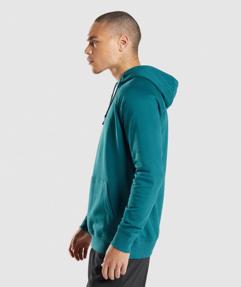 Gymshark Sharkhead Infill Hoodie Herren Türkis | AT-02-DPKB