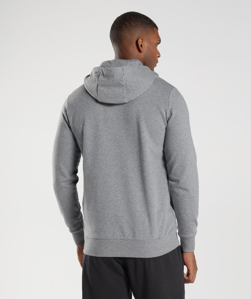 Gymshark Sharkhead Infill Hoodie Herren Grau | AT-19-MNHZ