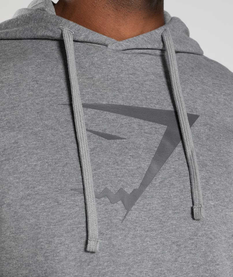 Gymshark Sharkhead Infill Hoodie Herren Grau | AT-19-MNHZ