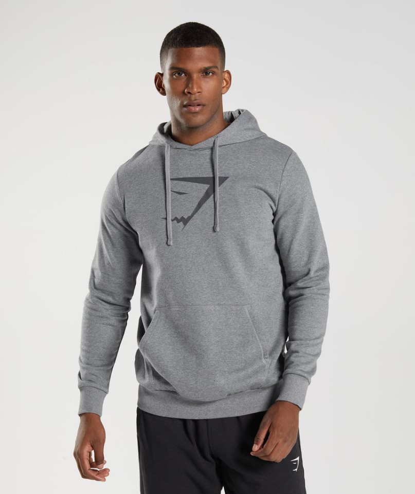 Gymshark Sharkhead Infill Hoodie Herren Grau | AT-19-MNHZ