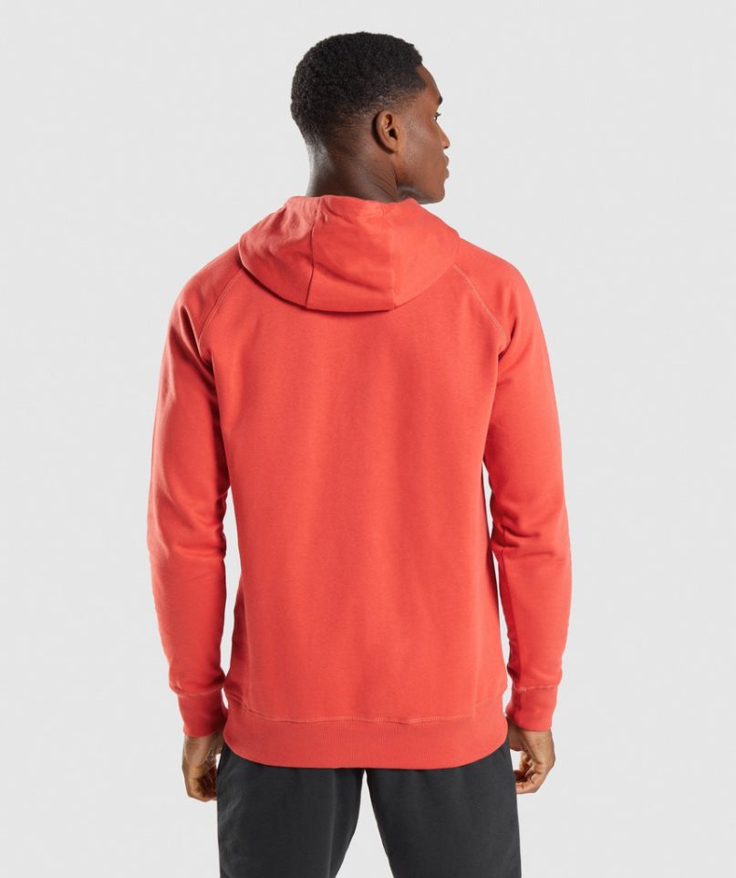 Gymshark Sharkhead Infill Hoodie Herren Orange | AT-51-PCTK