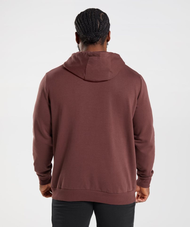 Gymshark Sharkhead Infill Hoodie Herren Braun | AT-92-DGBO