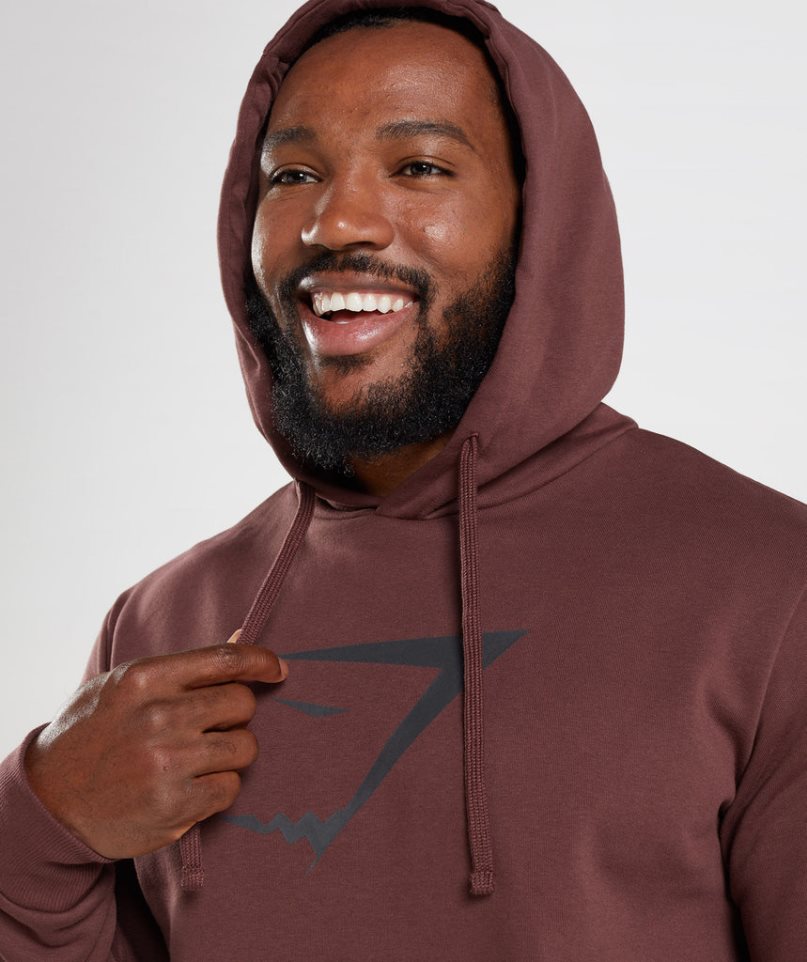 Gymshark Sharkhead Infill Hoodie Herren Braun | AT-92-DGBO