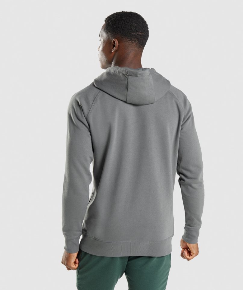 Gymshark Sharkhead Infill Hoodie Herren Grau | AT-98-QPSC