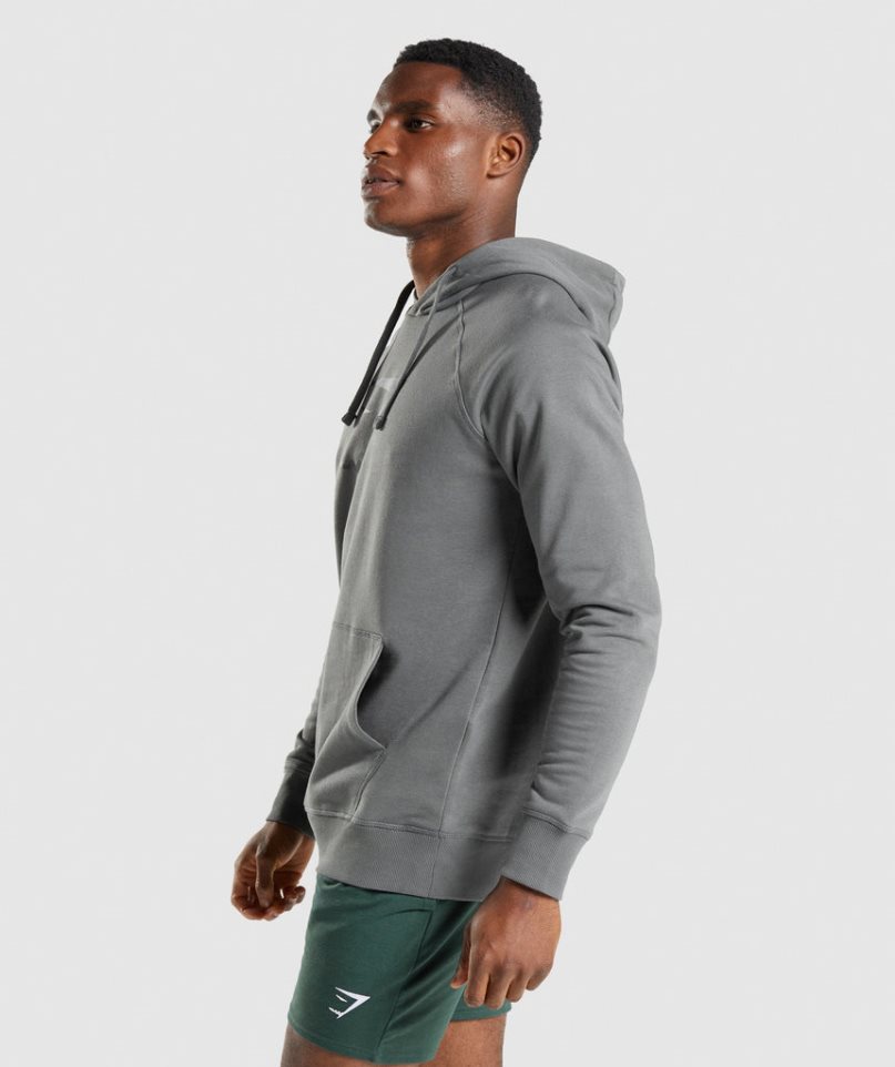 Gymshark Sharkhead Infill Hoodie Herren Grau | AT-98-QPSC