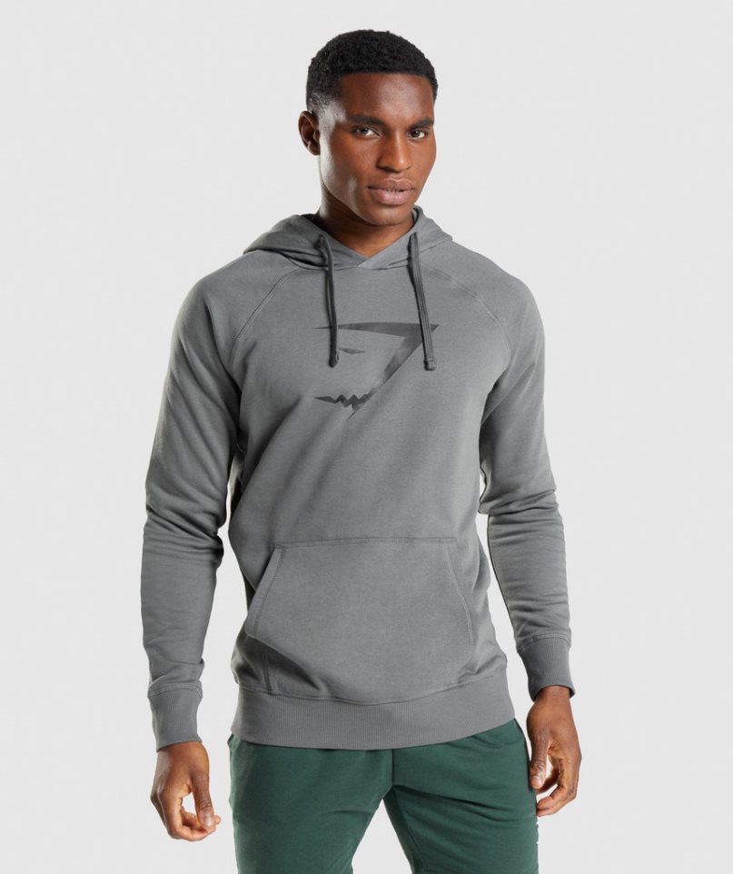 Gymshark Sharkhead Infill Hoodie Herren Grau | AT-98-QPSC