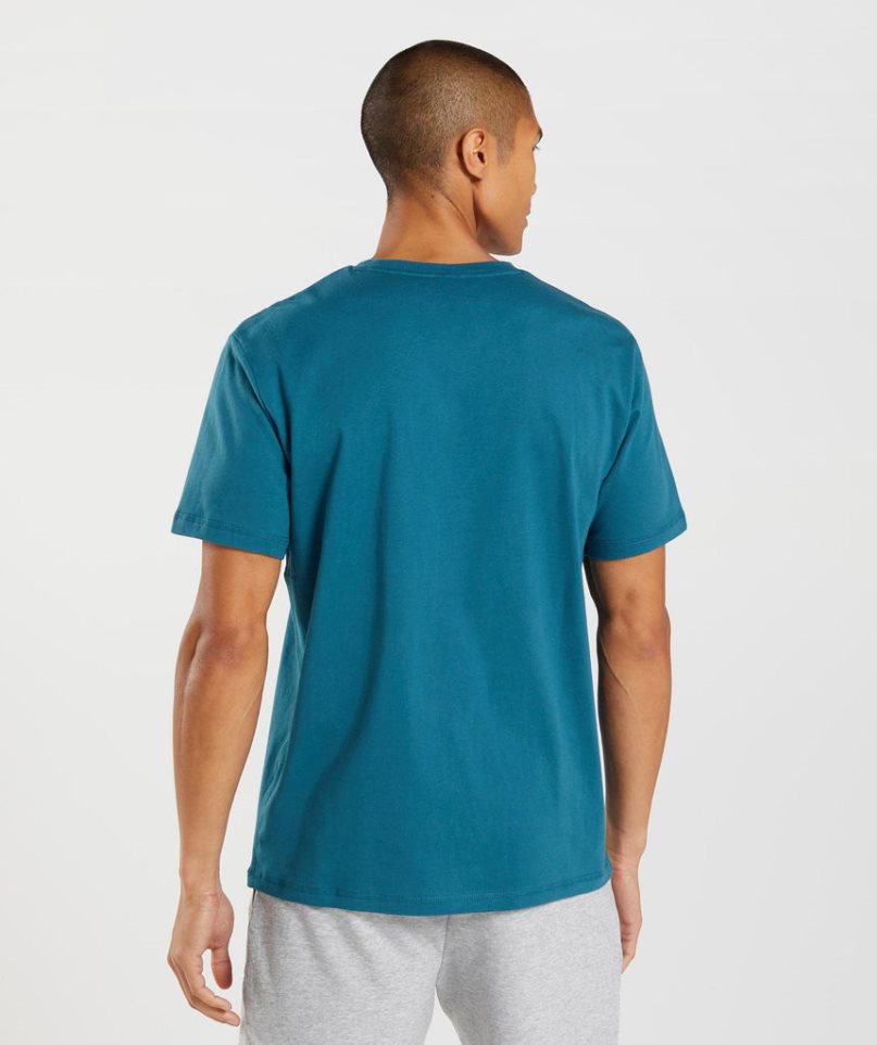 Gymshark Sharkhead Infill T-shirts Herren Türkis | AT-26-WPUC