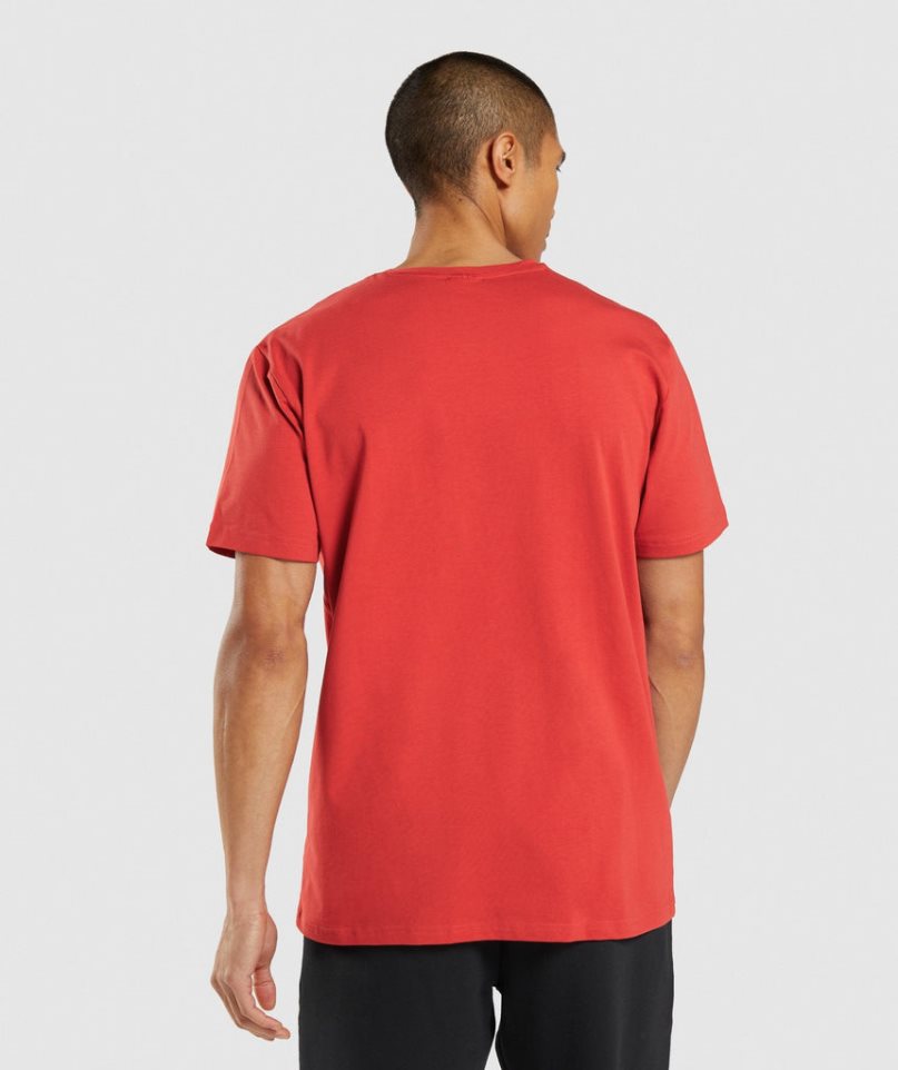 Gymshark Sharkhead Infill T-shirts Herren Rot | AT-43-GYHX