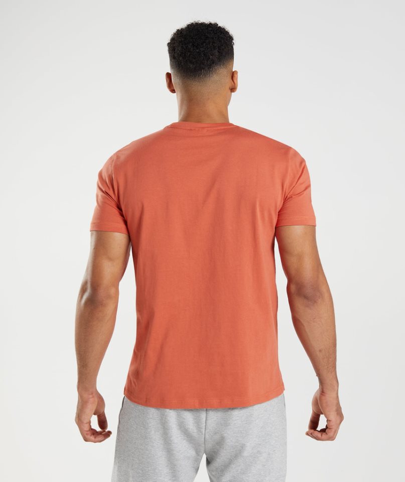 Gymshark Sharkhead Infill T-shirts Herren Orange | AT-84-DEMJ