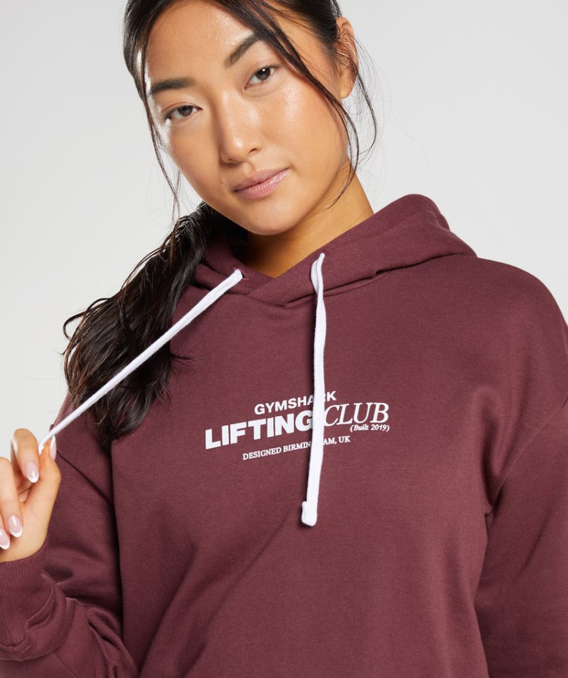 Gymshark Social Club Oversized Hoodie Damen Braun | AT-14-THMR