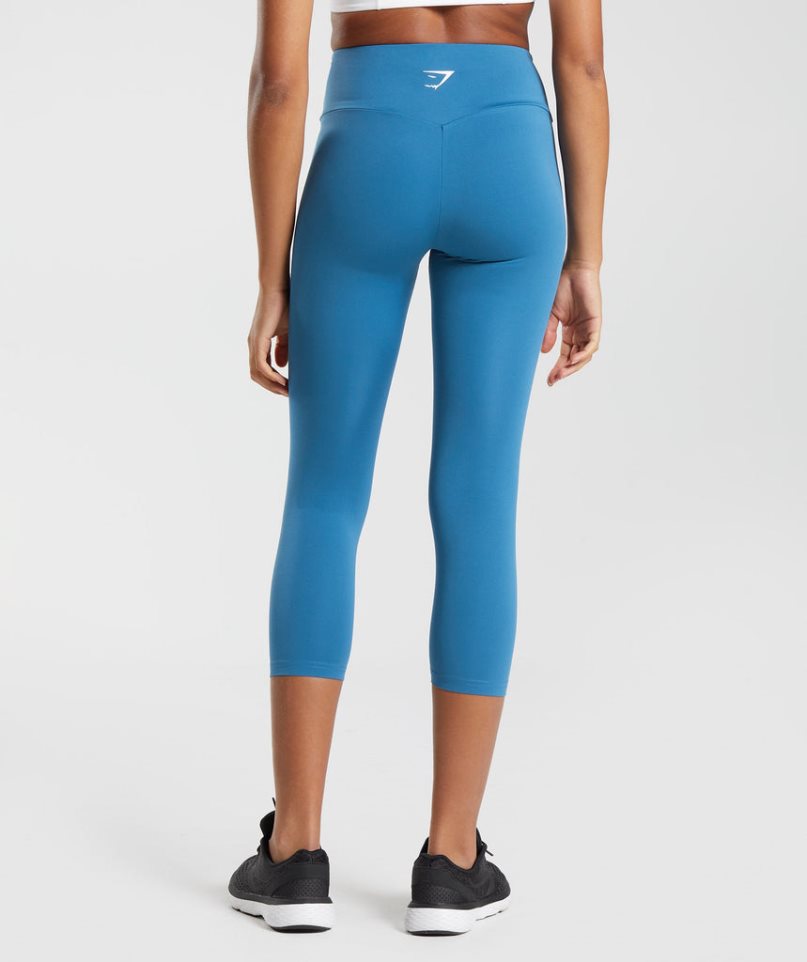 Gymshark Sport 7/8 Leggings Damen Blau | AT-89-FSAN