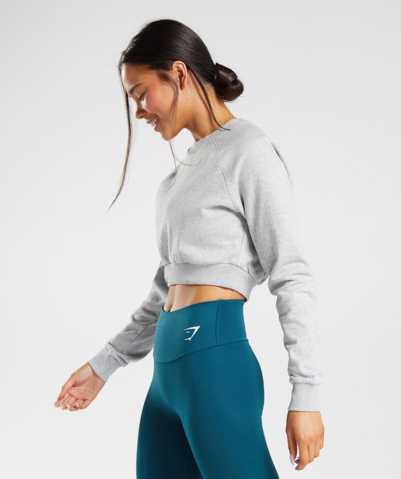 Gymshark Sport Cropped Sweatshirts Damen Hellgrau | AT-61-FVEN