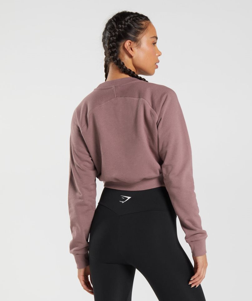 Gymshark Sport Cropped Sweatshirts Damen Rosa | AT-82-MOHA