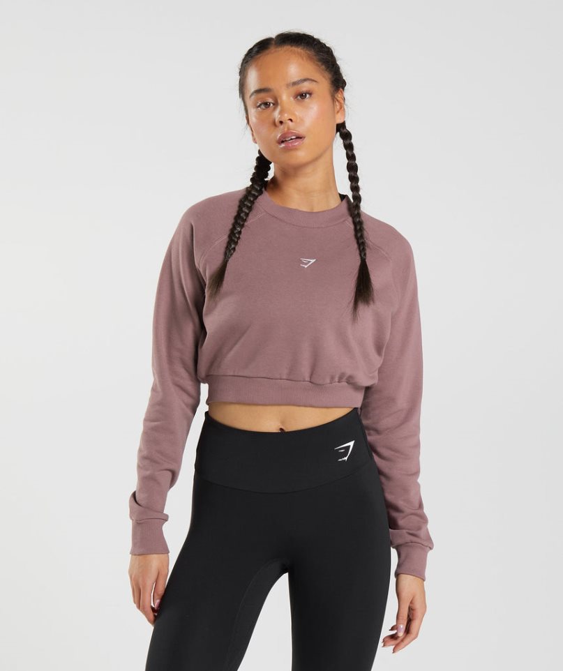 Gymshark Sport Cropped Sweatshirts Damen Rosa | AT-82-MOHA