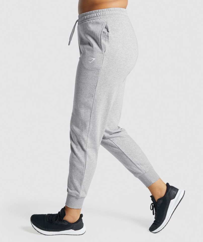 Gymshark Sport Jogginghose Damen Hellgrau | AT-52-BESZ