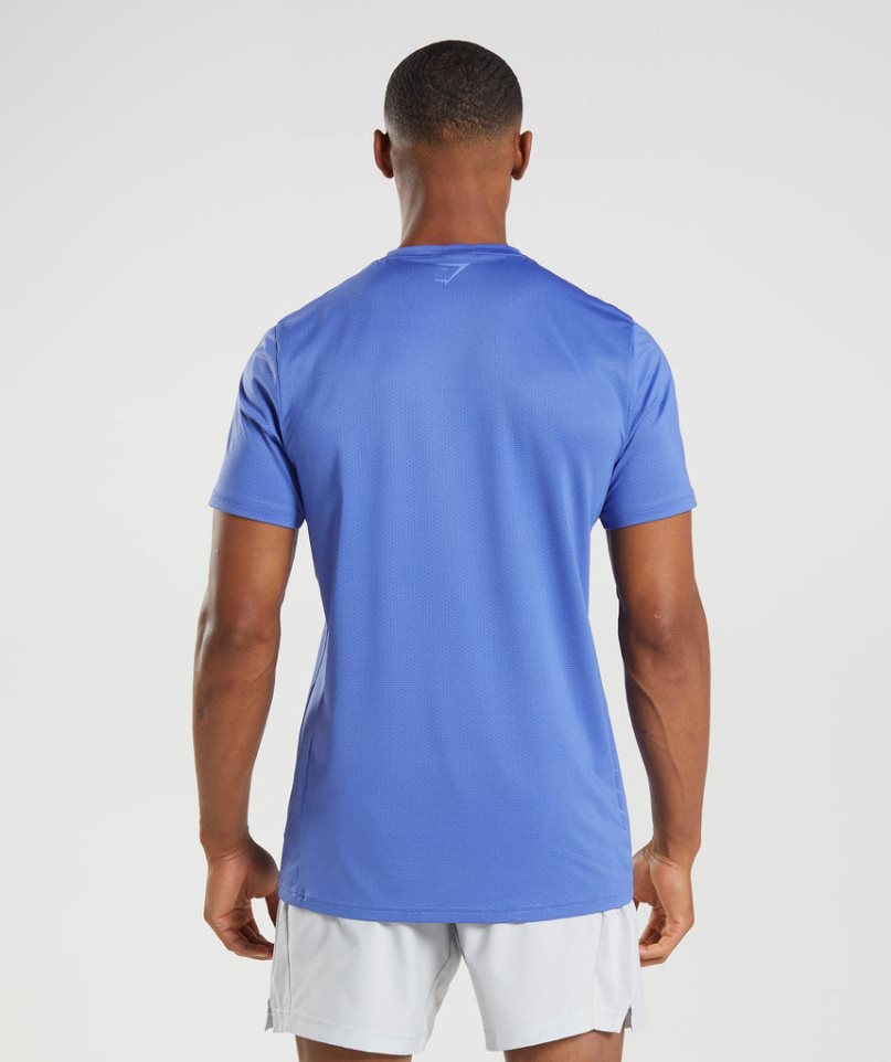 Gymshark Sport Stripe T-shirts Herren Blau | AT-90-DJFK