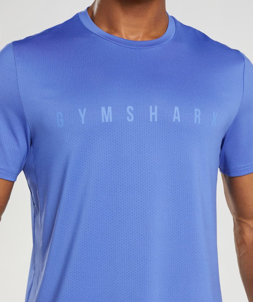 Gymshark Sport Stripe T-shirts Herren Blau | AT-90-DJFK