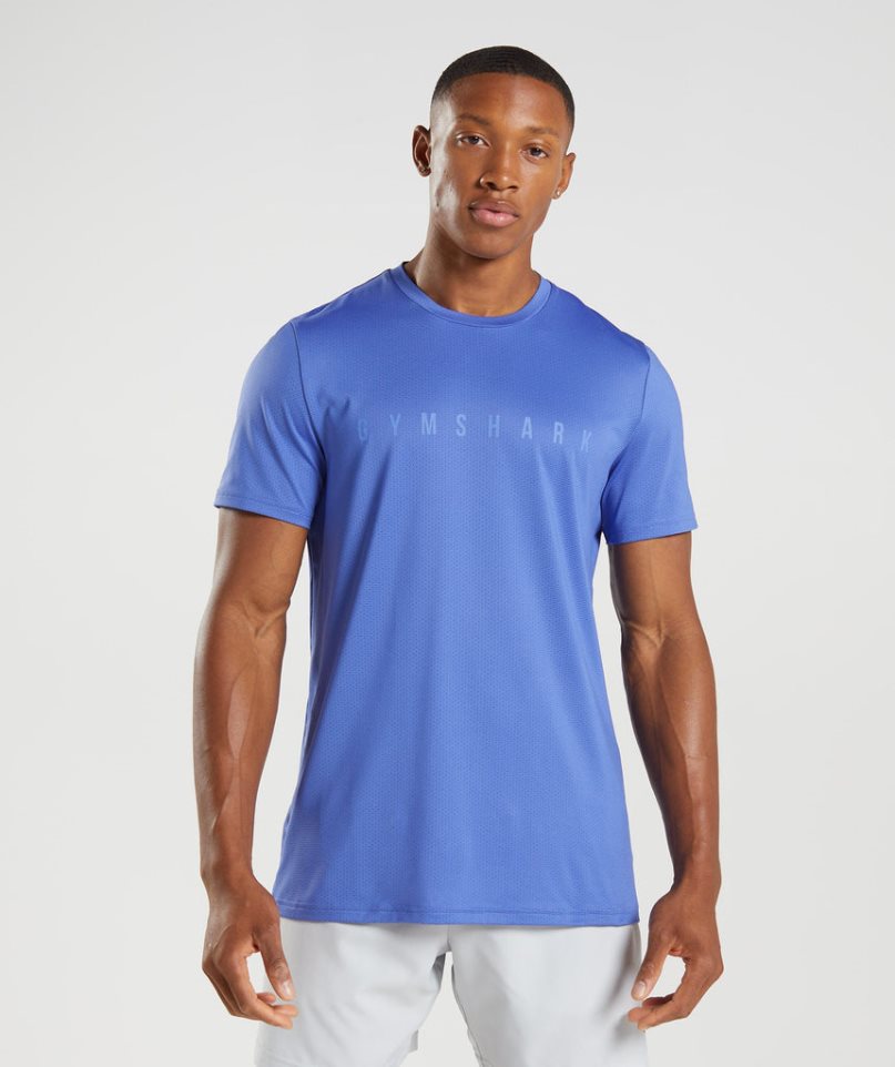 Gymshark Sport Stripe T-shirts Herren Blau | AT-90-DJFK