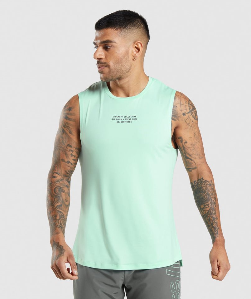 Gymshark Steve Cook Muskelshirt Herren Mintfarben | AT-74-GCBK