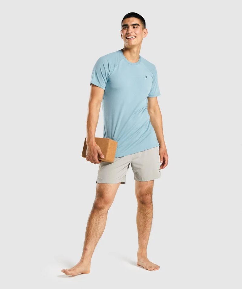 Gymshark Studio Kurze Hose Herren Hellgrau | AT-62-UKNH