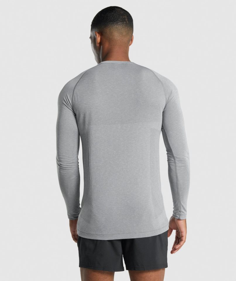 Gymshark Vital Light Seamless Long Sleeve T-shirts Herren Grau | AT-23-JFCI