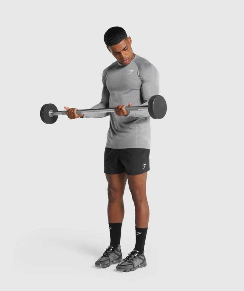 Gymshark Vital Light Seamless Long Sleeve T-shirts Herren Grau | AT-23-JFCI