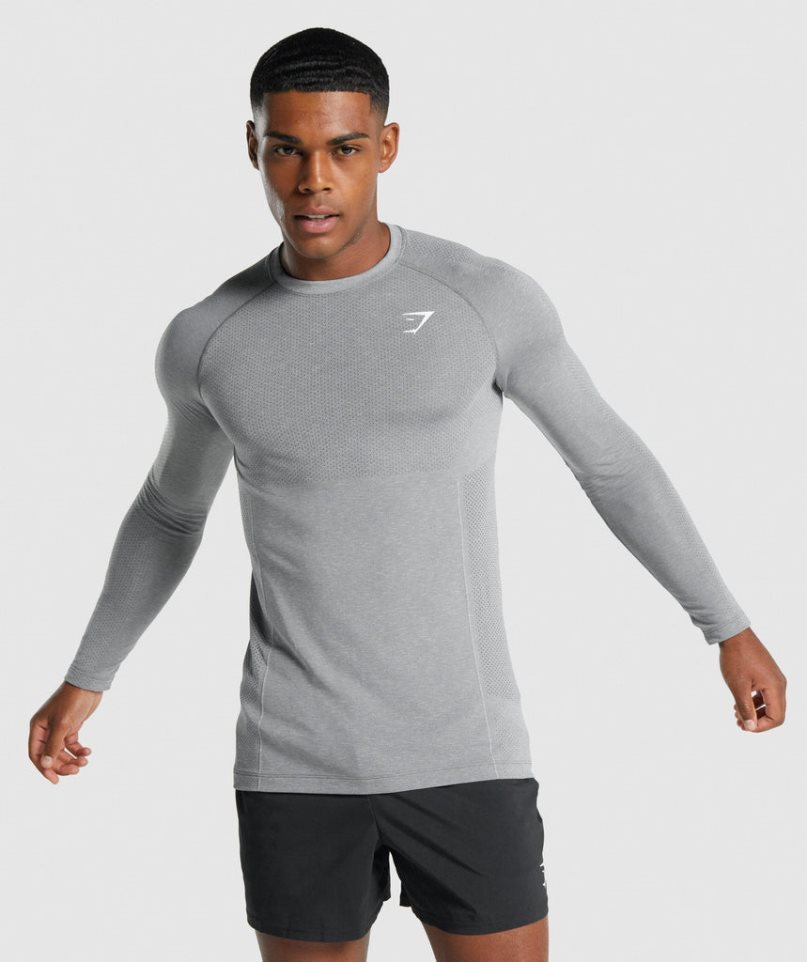 Gymshark Vital Light Seamless Long Sleeve T-shirts Herren Grau | AT-23-JFCI