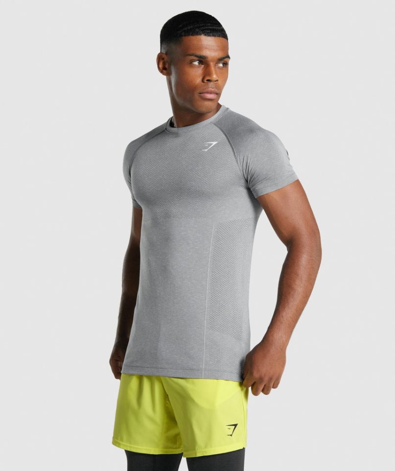 Gymshark Vital Light Seamless T-shirts Herren Grau | AT-28-IURJ